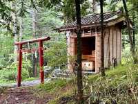 【山梨県】日本三大金運神社の1社で金運を上げてくれる場所