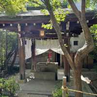 【大阪/天王寺】一生に一度願いが叶う⛩️
