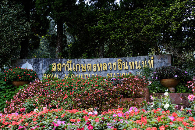 สถานีเกษตรหลวงอินทนนท์