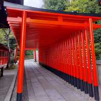 名古屋必去 三光稻荷神社穿越紅色鳥居之旅