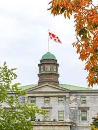 【モントリオール🇨🇦】マギル大学とその近くをぶらっと。