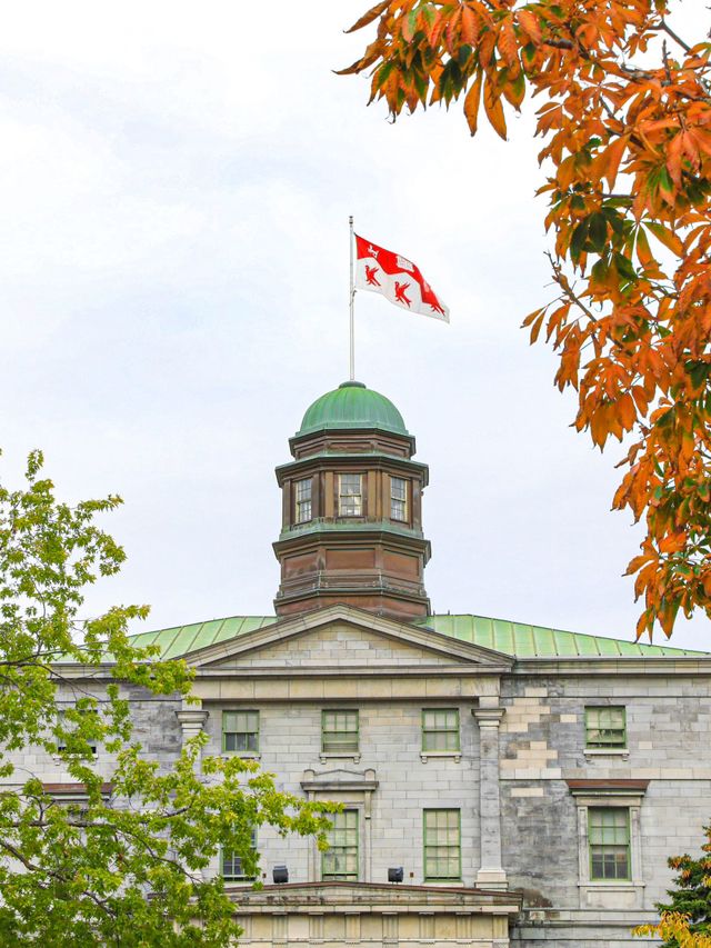 【モントリオール🇨🇦】マギル大学とその近くをぶらっと。