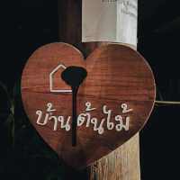 นอนบนต้นไม้ มีจริงหรอ!!! 🌳🌳
