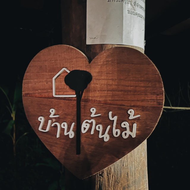 นอนบนต้นไม้ มีจริงหรอ!!! 🌳🌳