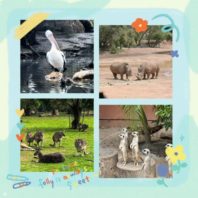 成都動物園：野生動物的奇妙🦁🐼