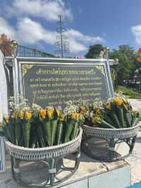 📍มาลำพูนอย่าลืมแวะกราบสักการะพระนางจามเทวี