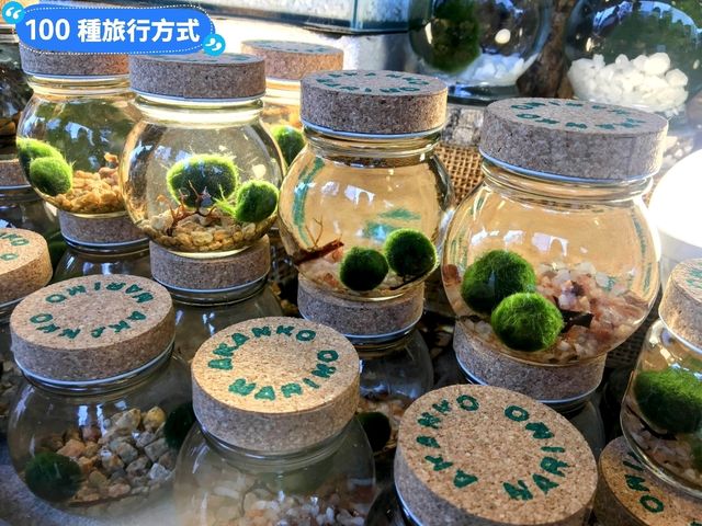 日本北海道-觀賞稀有綠球澡的火山湖泊：阿寒湖