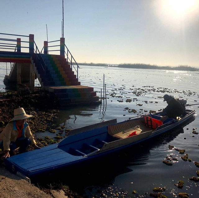 ล่องเรือดูบัวบาน 🪷 