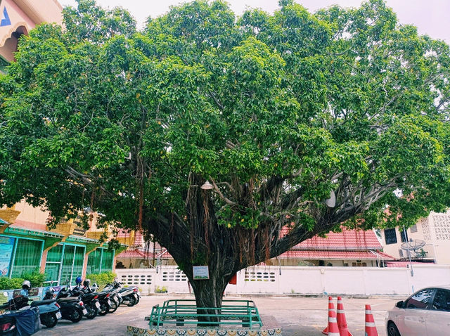 泰國芭提雅Masjid Darul Ibadah藍色清真寺，當地人文景觀，適合打卡拍照📸發呆冥想好去處