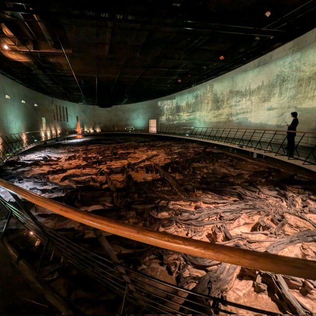 仙台景點｜全世界唯一可見冰河時期森林遺蹟博物館—地底之森博物館(仙台市富澤遺跡保存館)
