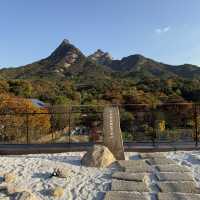 가을 감성 가득🍁 스타벅스 더북한산점에서 즐기는 특별한 힐링 타임