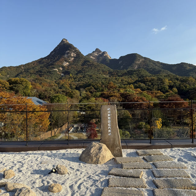 가을 감성 가득🍁 스타벅스 더북한산점에서 즐기는 특별한 힐링 타임