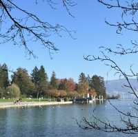 楚格湖畔的美麗公園