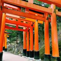 ⛩️超經典而壯觀的代表鳥居⛩️