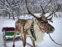 ขาวโอโม่ในตำนาน☃️สวรรค์ของคนรักหิมะ 