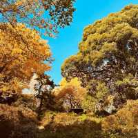 清流公園：詩意之地 🍂