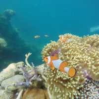 Karimunjawa National Park