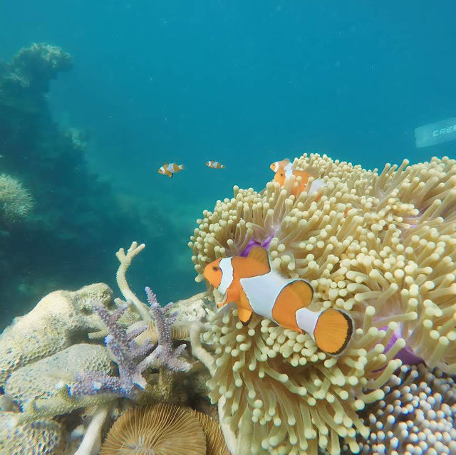 Karimunjawa National Park