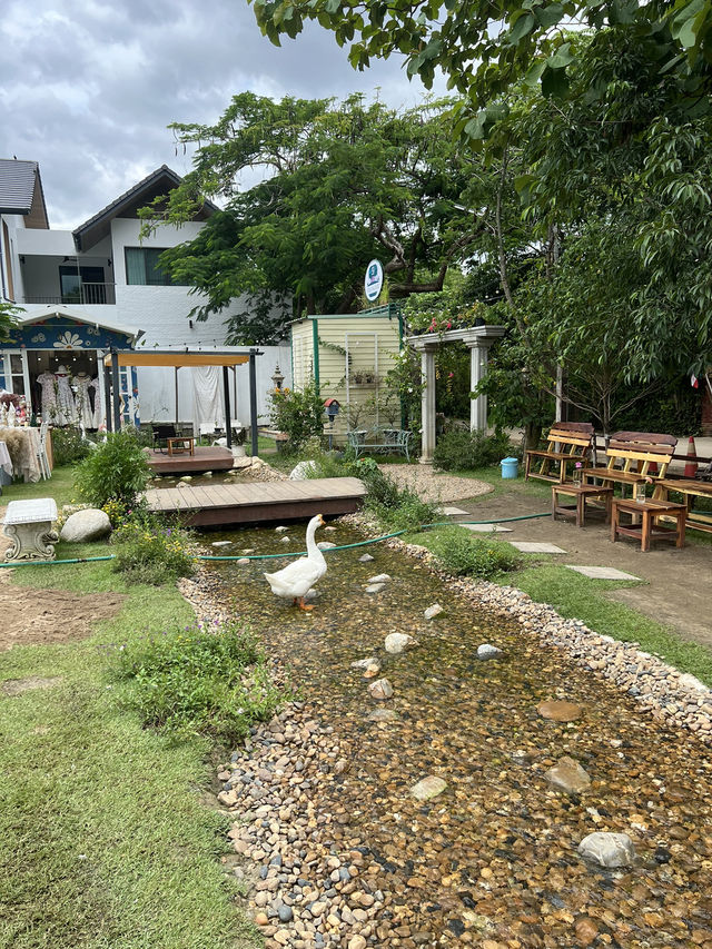 ค่าเฟ่ สไตล์ ยุโรป หลัง มช . 