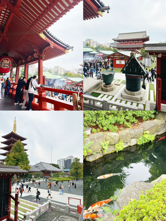 ⭐️東京必遊淺草雷門🙏🏻🙂‍↕️