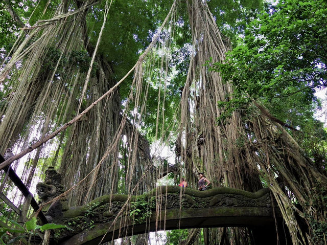 【インドネシア・バリ島】緑に癒されるウブド散策🌿