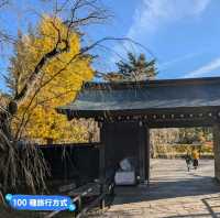 金黃漫紅，日本東北賞銀杏景點分享