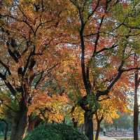 Catching the tail of autumn
