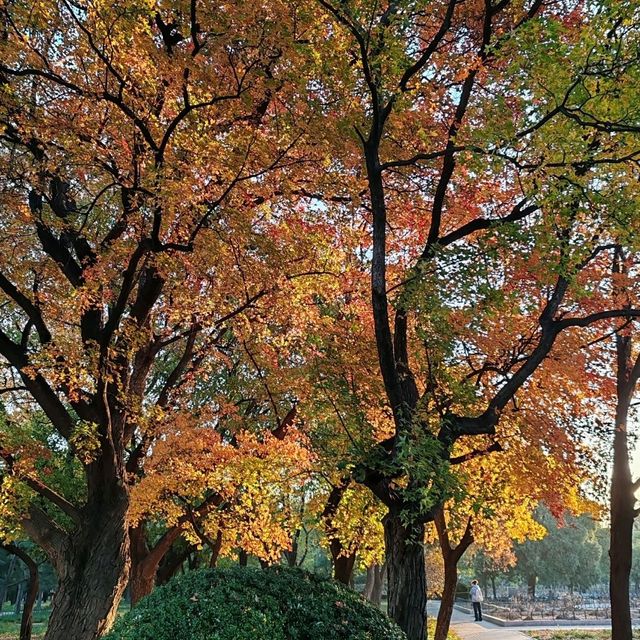 Catching the tail of autumn