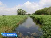 丹頂鶴的故鄉：黑龍江齊齊哈爾-扎龍自然生態濕地