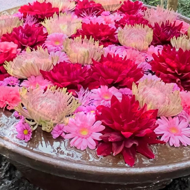 【埼玉】花手水が美しい神社