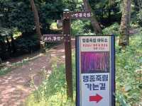 "고창읍성에서 만난 600년의 역사, 자연과 함께한 힐링 여행"