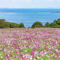 能古島海島公園，絕美風景令人讚嘆
