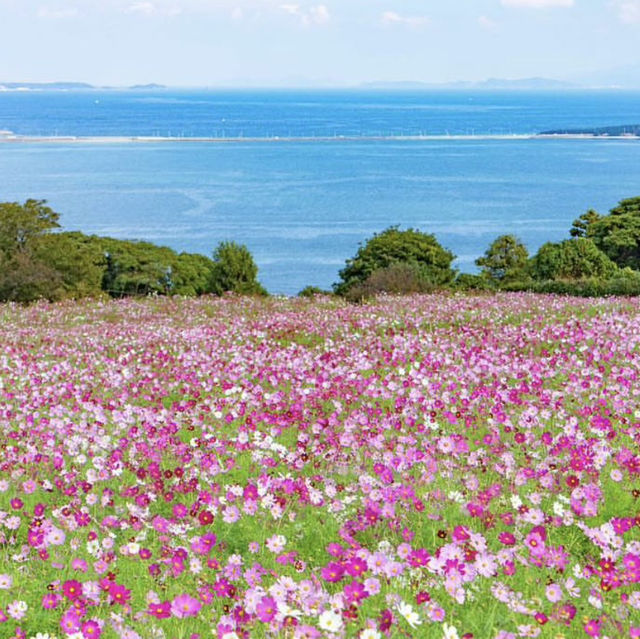 能古島海島公園，絕美風景令人讚嘆