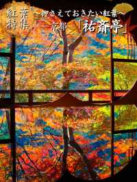 【紅葉特集】紅葉の嵐山リフレクションスポットと嵐山エリア攻略情報を紹介✨