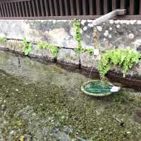 【長崎　島原おでかけ記録】