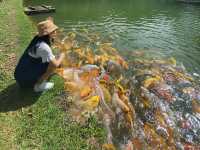 เหมืองปิล็อก - อ.ทองผาภูมิ กาญจนบุรี
