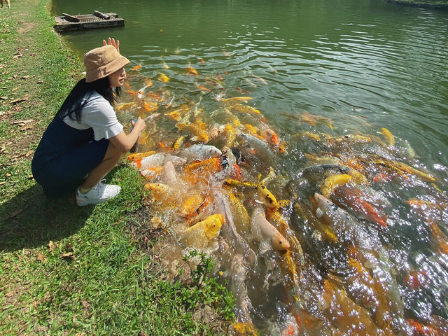 เหมืองปิล็อก - อ.ทองผาภูมิ กาญจนบุรี