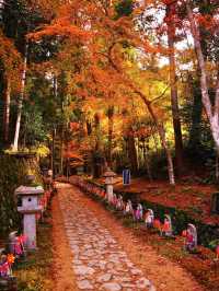 【ここ行って】国の重要文化財多数存在する紅葉スポット🍁大量のお地蔵さんも✨