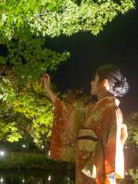 \紅葉のライトアップ/京都と言えばまずはここ！「東寺」夜間特別拝観とは？？？