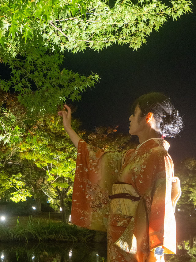 \紅葉のライトアップ/京都と言えばまずはここ！「東寺」夜間特別拝観とは？？？