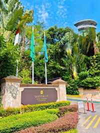 A beautiful visit at the singapore Rasa sentosa resort❤️