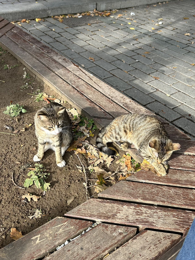 トルコ旅行🇹🇷
