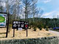 【長野×天空カート】絶景ドライブで爽快なひととき