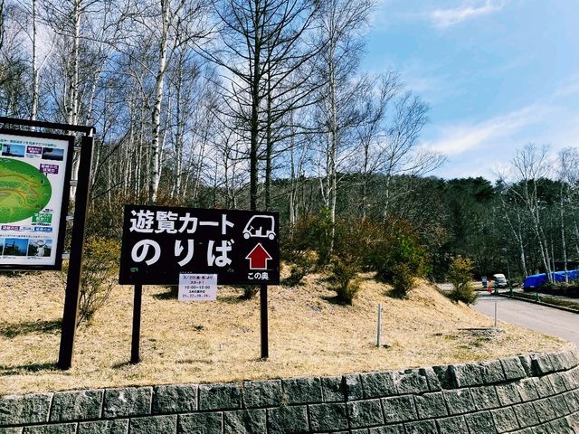 【長野×天空カート】絶景ドライブで爽快なひととき