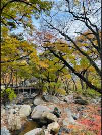  Beomeosa Temple: A Tranquil Escape in Busan
