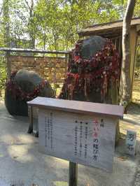 【神奈川県/鎌倉　良縁の縁結びの神社として知られている 『葛原岡神社』】