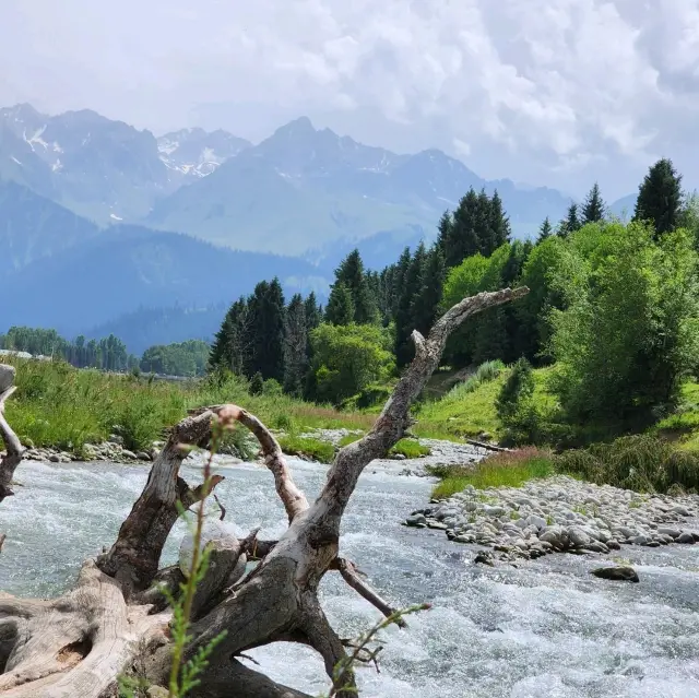 Qiaxi National Park (Qiaxi Forest Park)