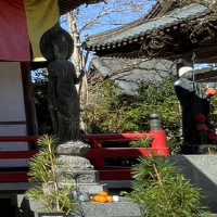 🇯🇵【高知県】第37番札所 藤井山 五智院 岩本寺