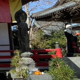 🇯🇵【高知県】第37番札所 藤井山 五智院 岩本寺