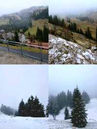 🇨🇭 Cogwheel Train Ride to Mt Rigi 